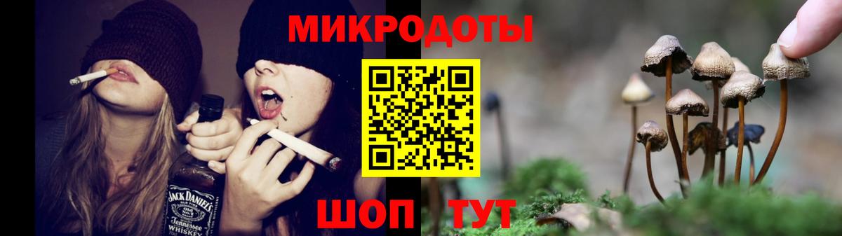 Псилоцибиновые грибы Psilocybe  Псилоцибиновые грибы мицелий  Вход с VPN  Рославль 